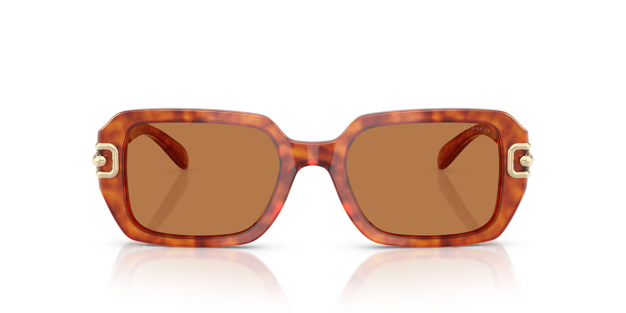 577473 - Tortoise - Amber Solid