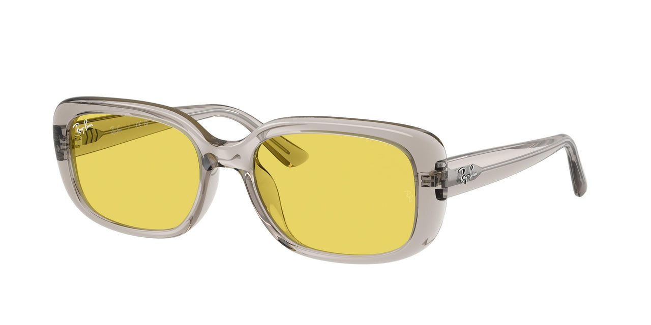Ray-Ban 4421D Sunglasses