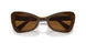 101173 - Brown - Dark Brown