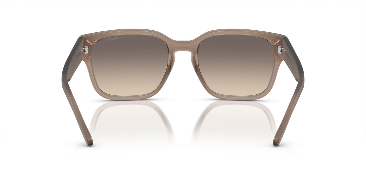 290613 - Brown - Gradient Brown