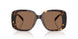 198173 - Tortoise - Brown