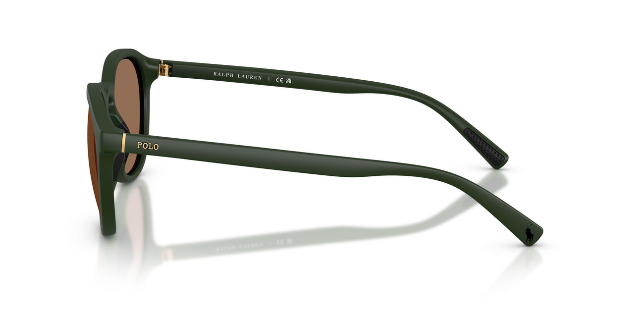 559673 - Green - Dark Brown