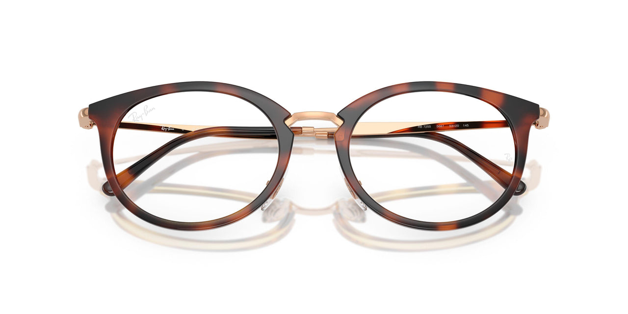 5687 - Brown - Clear