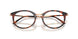 5687 - Brown - Clear