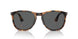 1102B1 - Tortoise - Polar Black