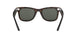 902/58 - Tortoise - Crystal Green Polarized