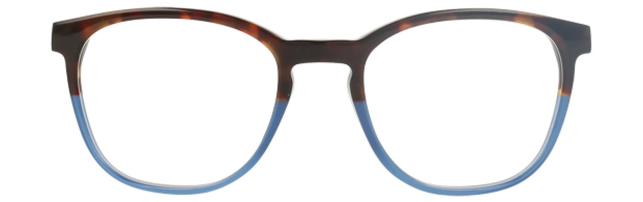 TRTB - Tortoise Blue