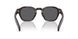 17N731 - Tortoise - Dark Grey