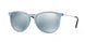 Ray-Ban Erika 4171 Sunglasses