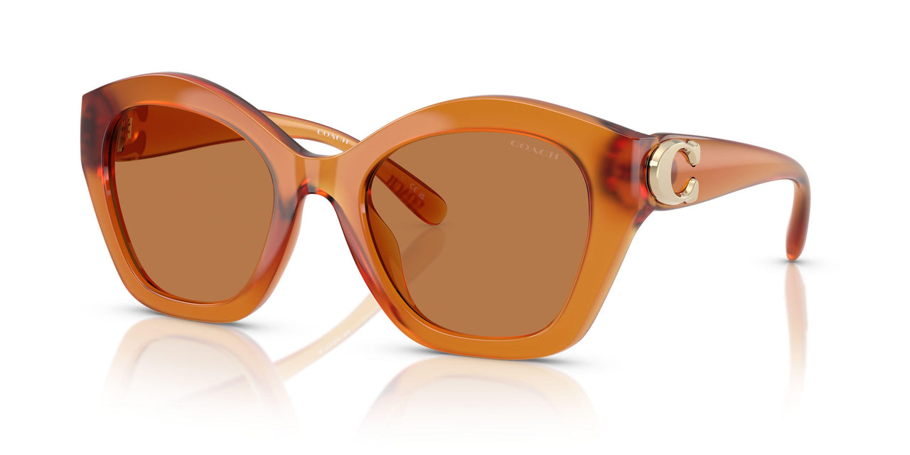 564773 - Orange - Brown Solid