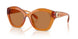 564773 - Orange - Brown Solid