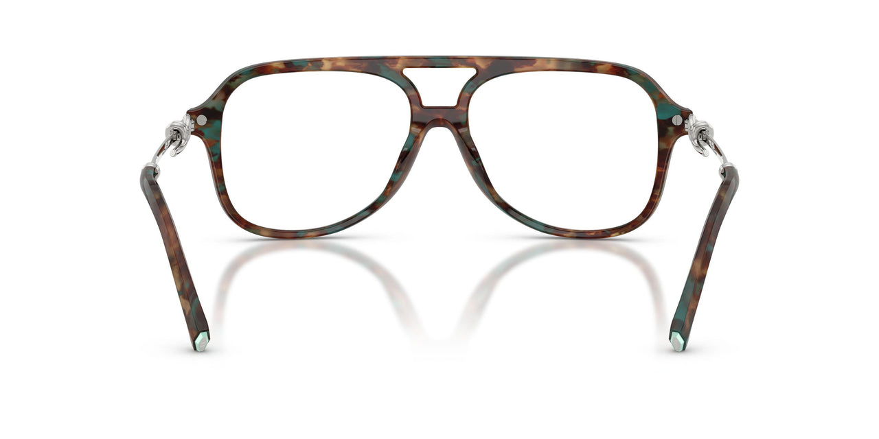 8442 - Tortoise