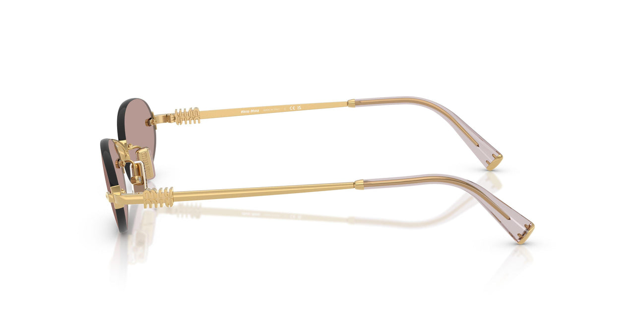 5AK20I - Gold - Light Purple Brown