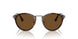 24/57 - Havana - Polar Brown