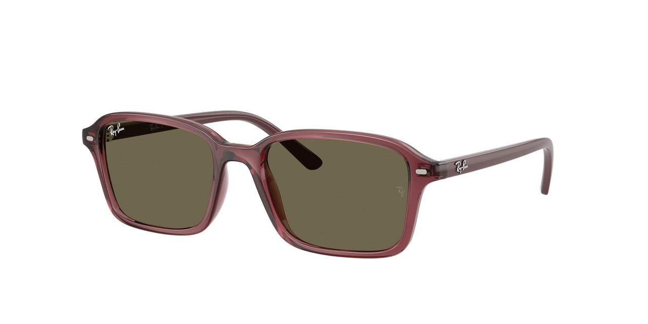 7197/3 - Violet - Brown