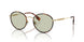 1109/2 - Tortoise - Light Green