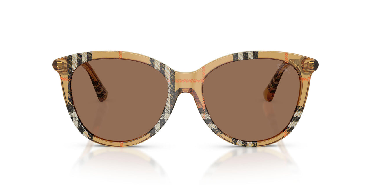 416373 - Brown - Dark Brown