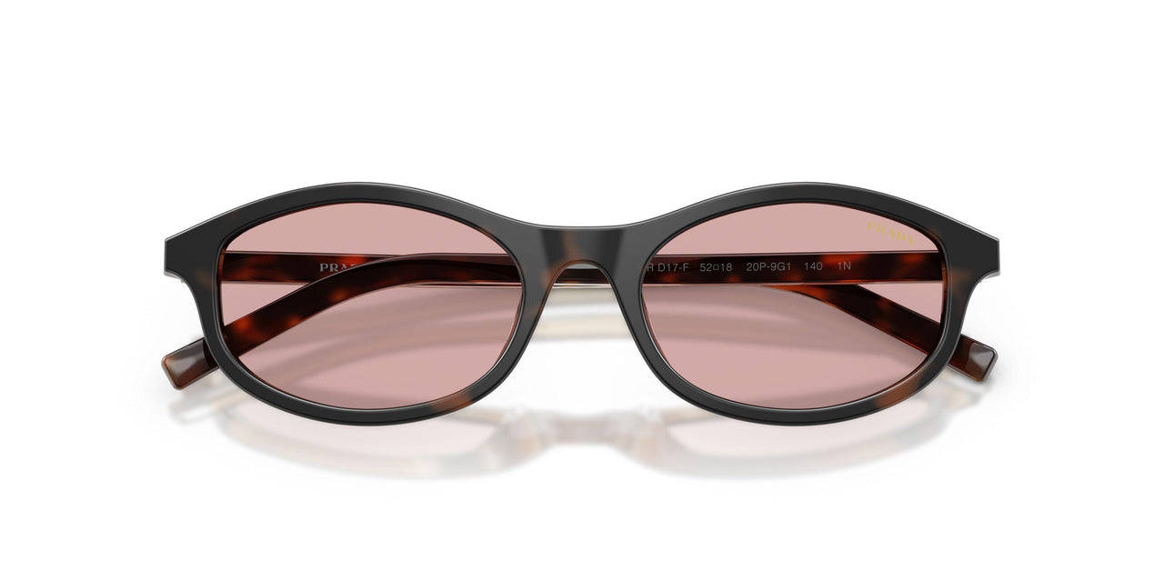 20P9G1 - Tortoise - Light Violet