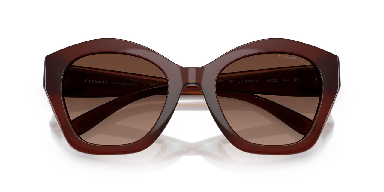 5841T5 - Brown - Brown Gradient Polar