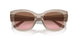 299014 - Brown - Pink Gradient Brown