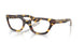 1654SB - Tortoise - Clear Blue-violet Light Filter