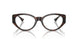 5429 - Tortoise - Clear