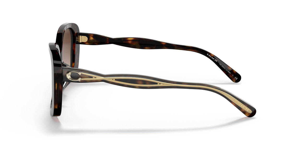512013 - Havana - Dark Brown Gradient