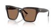 512573 - Brown - Dark Brown