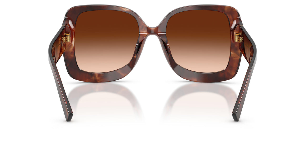 322274 - Red - Brown Gradient