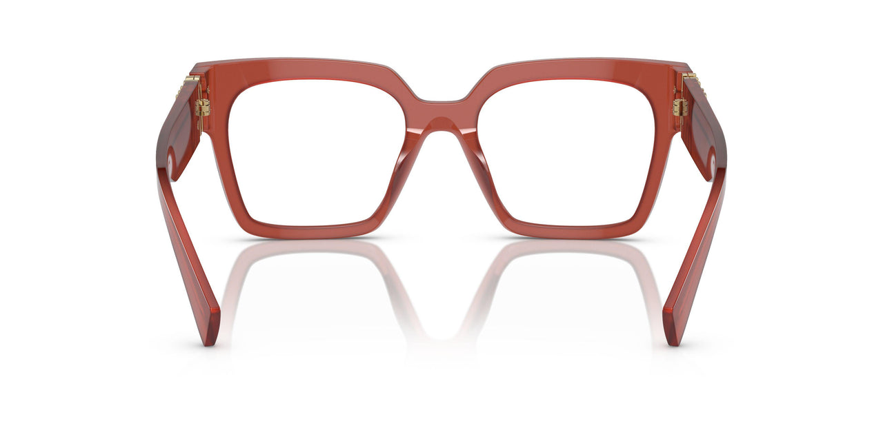 10M1O1 - Brown