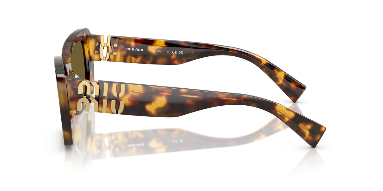 14L09Z - Tortoise - Dark Brown