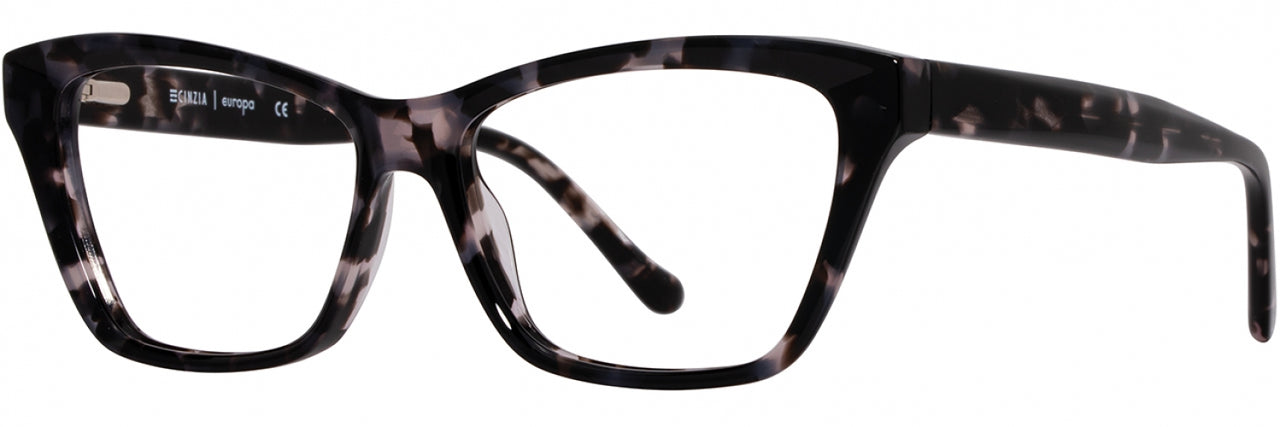 2 - Ebony Tortoise