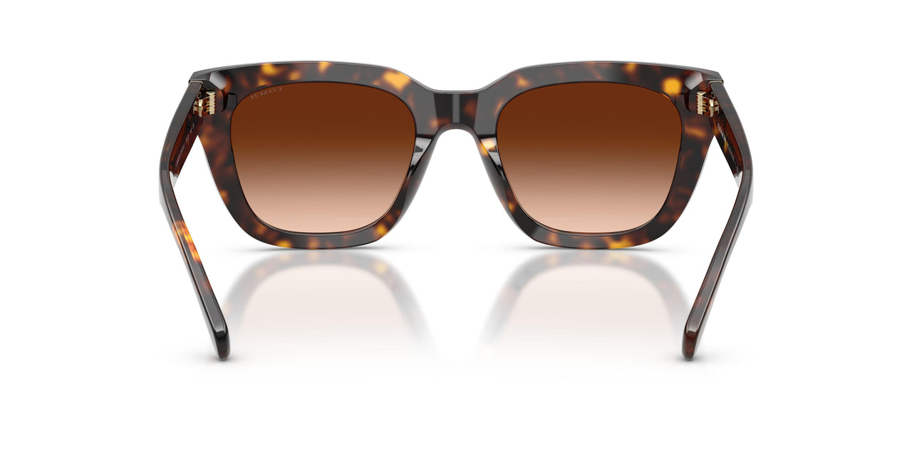 51208G - Tortoise - Brown Gradient