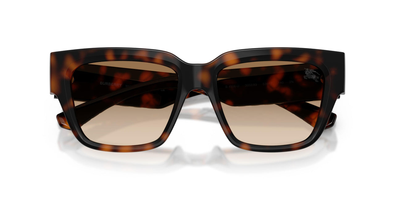 300289 - Brown - Brown Gradient