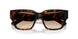 300289 - Brown - Brown Gradient