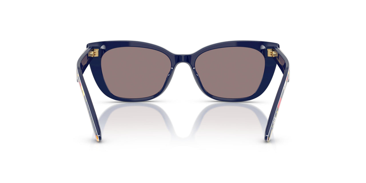 34357N - Blue - Purple Brown