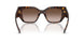 W65613 - Brown - Gradient Brown