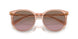 295414 - Orange - Violet Gradient Brown