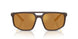 62586H - Brown - Brown Mirror Gold