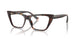 5002 - Tortoise