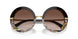 327813 - Brown - Brown Gradient Dark Brown