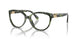 3953 - Amazon Green Tortoise