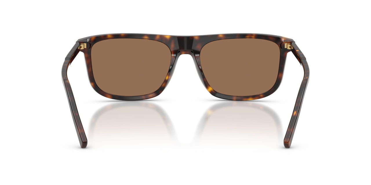 502/73 - Tortoise - Dark Brown