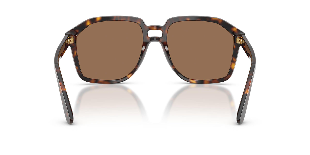 502/73 - Tortoise - Dark Brown