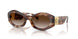 54613B - Tortoise - Brown Gradient