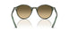 14210A - Multicolor - Brown