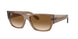 Ray-Ban Carlos 0947SF Sunglasses