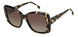 Carrera 3030 Sunglasses