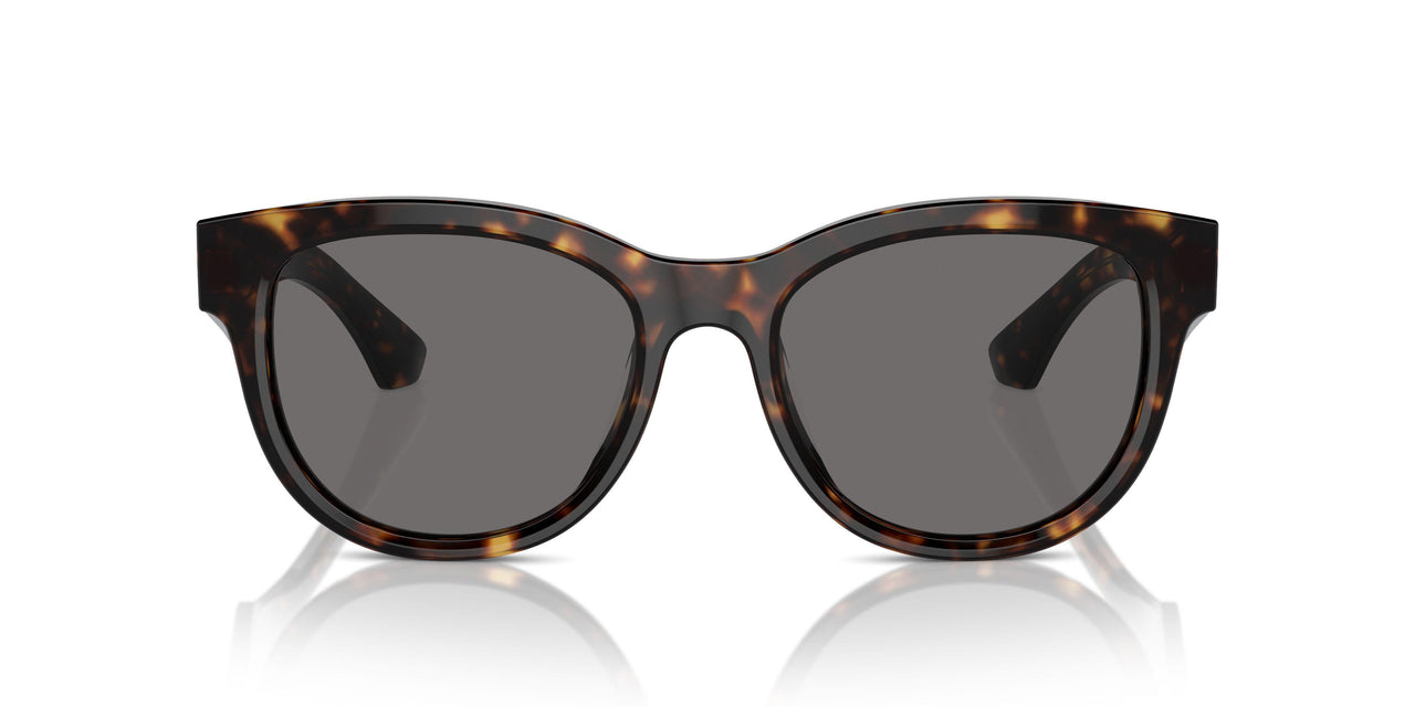 300281 - Brown - Dark Grey Polarized