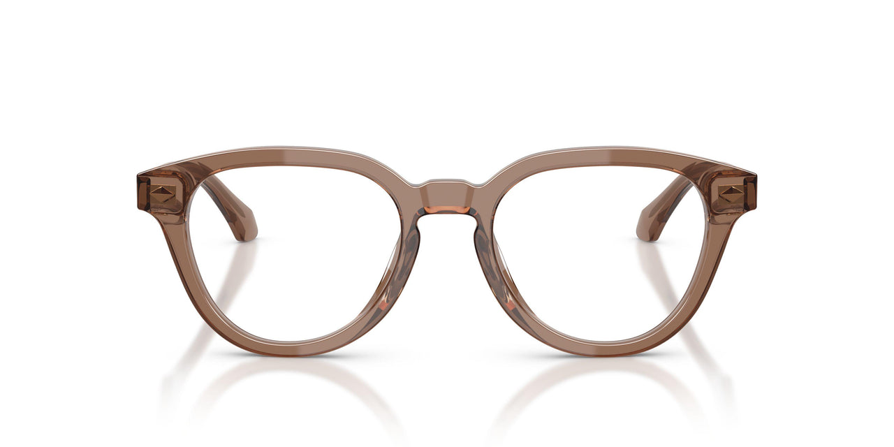 6469 - Brown